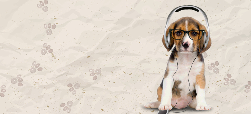 宠物美容质感简约文艺手绘bannerpsd设计背景_88icon https://88icon.com 宠物美容 宠物健康 宠物医疗 宠物护理 宠物食品 萌宠 可爱小狗 脚印 音乐 耳麦 质感 手绘 文艺