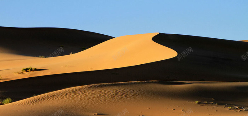 沙丘沙漠景观图片背景