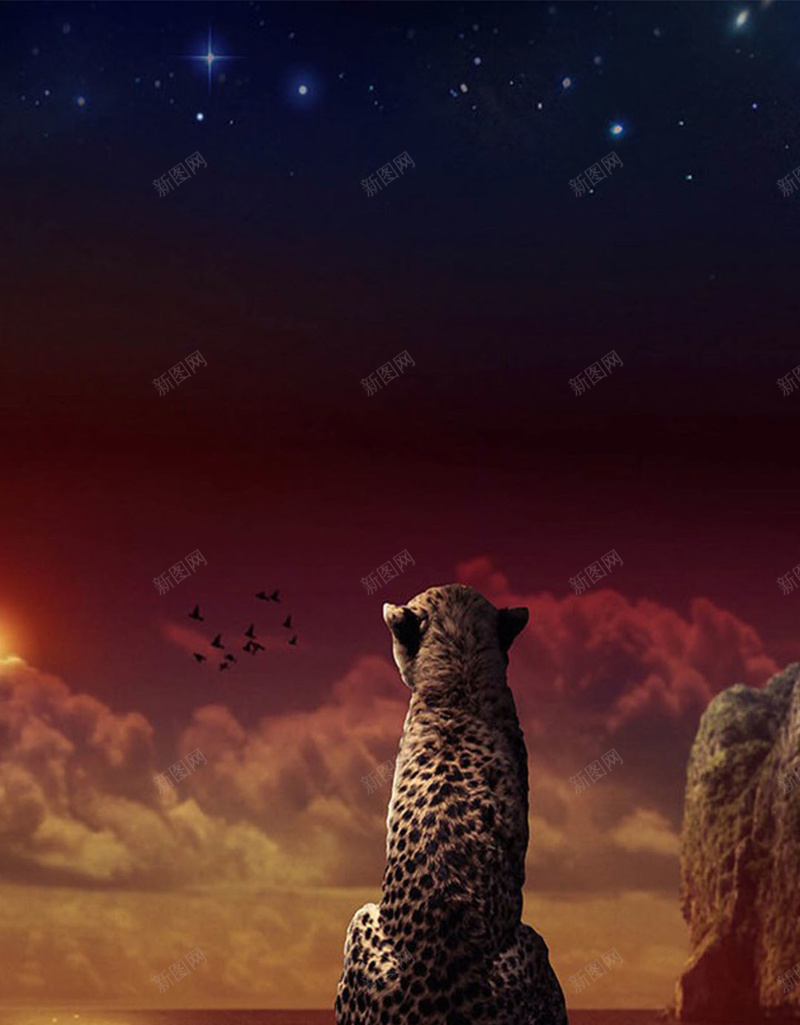 坐着的豹子H5素材背景jpg设计背景_88icon https://88icon.com 创意 动物 星空 豹子 H5素材