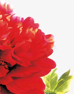 手绘红色水彩海棠花效果设计素材