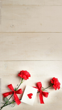 红色花朵康乃馨木板H5背景背景