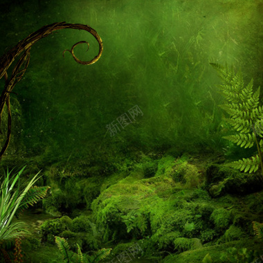 原始森林绿色植物背景素材背景