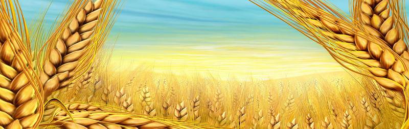 手绘油画蓝天阳光麦穗背景背景