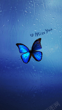 蓝色蝴蝶H5背景背景