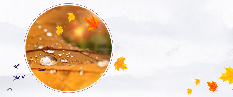 秋季促销文艺灰色jpg设计背景_88icon https://88icon.com 圆形 山水 枫叶 秋天 秋季 飞鸟 折扣 优惠 促销 文艺 上新 黄色 灰色