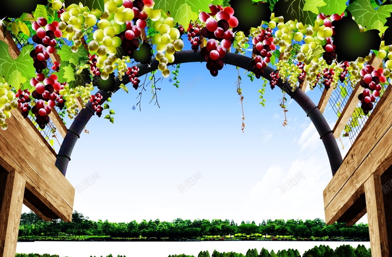 葡萄园水果背景模板jpg设计背景_88icon https://88icon.com 葡萄园 葡萄架 水果 海报 葡萄 平面 广告 背景 PSD 素材 模板