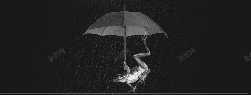 黑色雨伞青蛙背景jpg设计背景_88icon https://88icon.com 海报banner 卡通 雨伞 青蛙 黑色 童趣 手绘