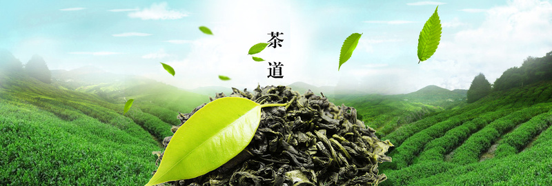 茶园茶道茶叶茶艺背景jpg设计背景_88icon https://88icon.com 传统 茶艺 茶道 茶 茶叶 茶园 背景 banner 海报banner