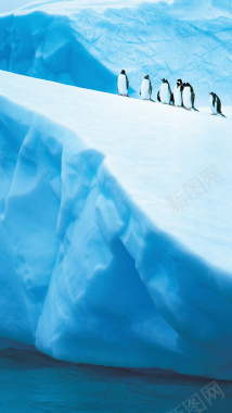 蓝色冰川企鹅手机端H5背景背景