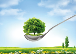 放心食用绿色食品海报背景素材高清图片