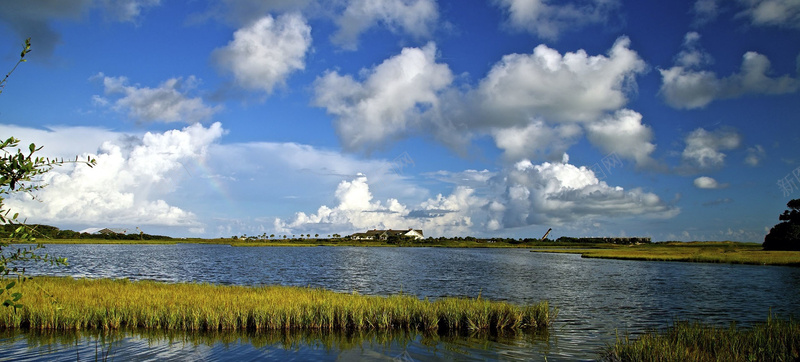 芦苇湖泊背景jpg设计背景_88icon https://88icon.com 芦苇荡 湖泊 蓝天白云 海报banner 摄影 芦苇湖泊背景 风景