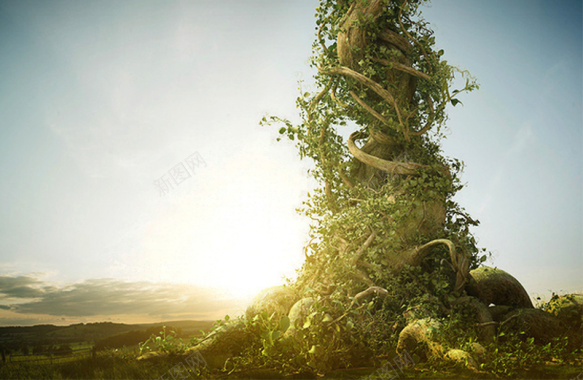 绿色植物魔幻素材背景图背景