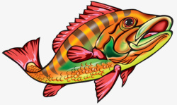 彩绘鱼效果元素素材