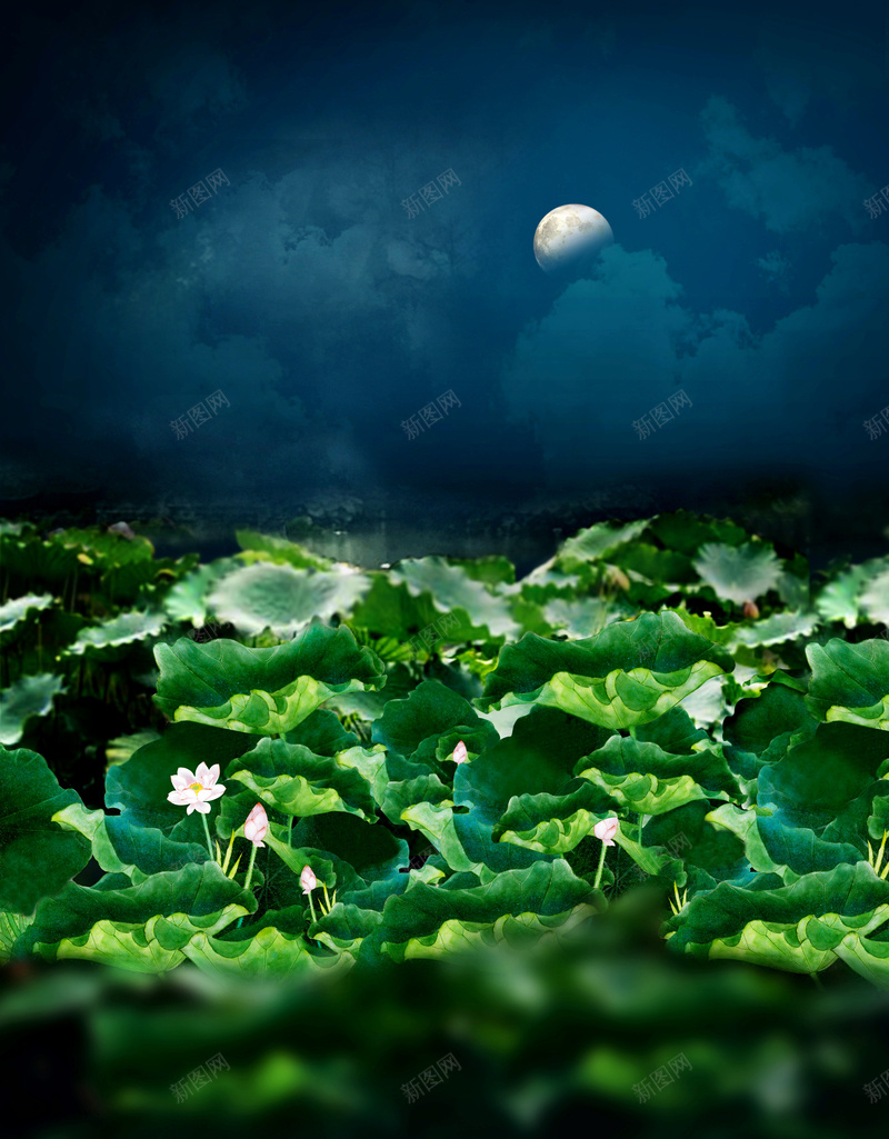 中国风高清海报背景jpg设计背景_88icon https://88icon.com 中国风 古典 古风 海报 背景 荷花 绿色 浪漫 梦幻