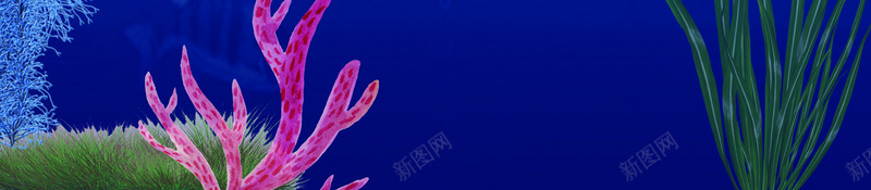 简约大气海底世界广告jpg设计背景_88icon https://88icon.com 海底世界 大气 广告 简约 蓝色 海洋 鱼 珊瑚
