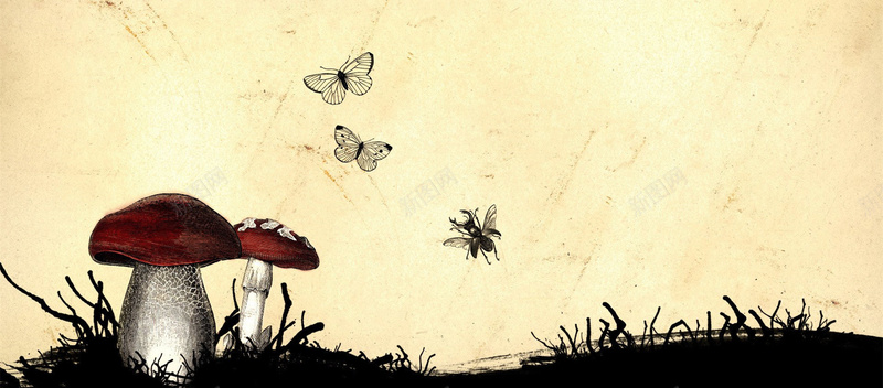 手绘蘑菇蝴蝶背景图背景