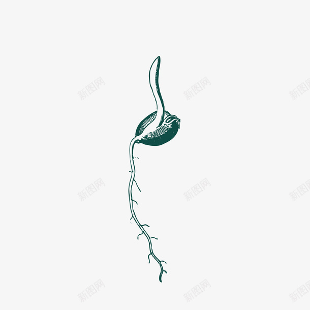 种子发芽生根素材图案ai免抠素材_88icon https://88icon.com 生根 长根 秋分 秋收 秋种 秋季 秋天 线条 纹路 质感 矢量 手绘 装饰