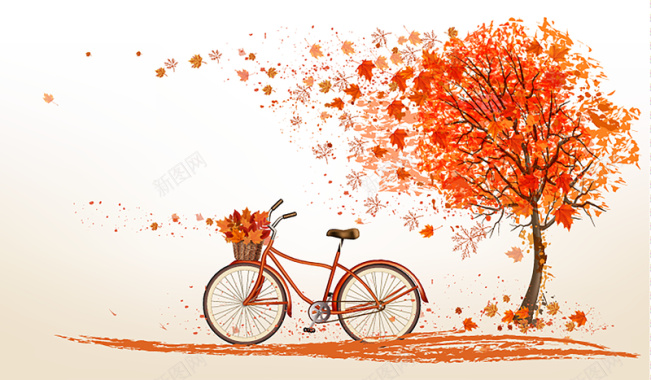 枫树与自行车背景