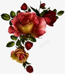 彩绘玫瑰花花朵装饰素材