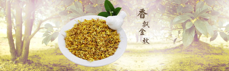 淘宝茶叶花茶清新树林背景bannerpsd设计背景_88icon https://88icon.com 树林 清新 背景 花茶 茶叶 淘宝 banner 海报banner 文艺 小清新 简约