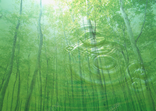 保护水资源森林可再生背景背景