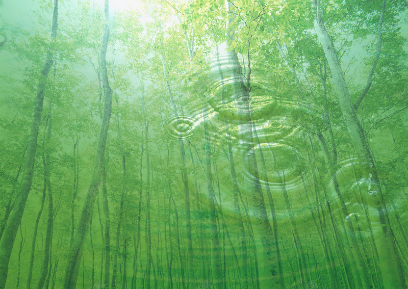 保护水资源森林可再生背景jpg设计背景_88icon https://88icon.com 再生 森林 竹子 竹林 背景 保护森林 水资源 绿色 水滴