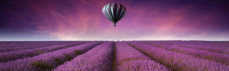 紫色浪漫薰衣草海洋淘宝海报背景背景
