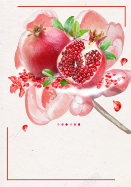 手绘简约石榴水果设计海报背景素材背景