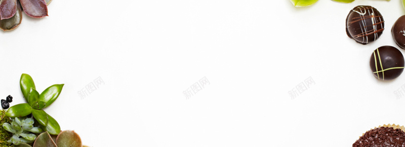 植物背景图jpg设计背景_88icon https://88icon.com 植物 多肉 绿植 海报banner 摄影 风景