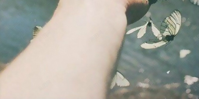 手上停驻的蝴蝶H5背景jpg设计背景_88icon https://88icon.com 文字控 百家姓 姓氏 情书 手 姓名 H5背景 蝴蝶 天空 树 水 H5 h5 文艺 小清新 简约