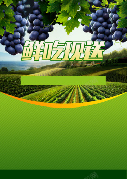 现吃清新葡萄园葡萄宣传单背景素材高清图片