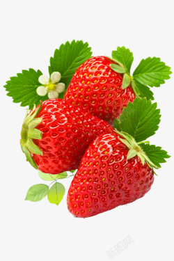 新鲜美味水果草莓素材