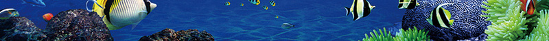 蓝色创意海底世界个性海洋海报背景素材psd设计背景_88icon https://88icon.com 梦幻海底 海底世界 潜水海报 蓝色创意 海洋馆 3D海底世界 海底表演 海底之窗 广告设计 海报背景 欢乐