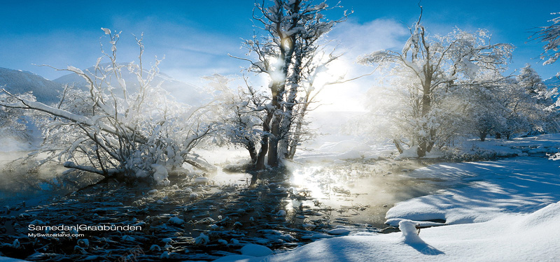 树挂jpg设计背景_88icon https://88icon.com 雪上运动 旅游 滑雪 寒冷 速度 激情 瞬间 刺激 雪上美女 天气 阳光 海报banner 摄影 风景