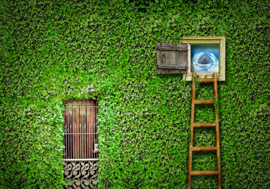 绿色创意墙面门窗梯子世界背景素材背景