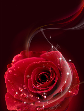 红玫瑰光效海报背景背景