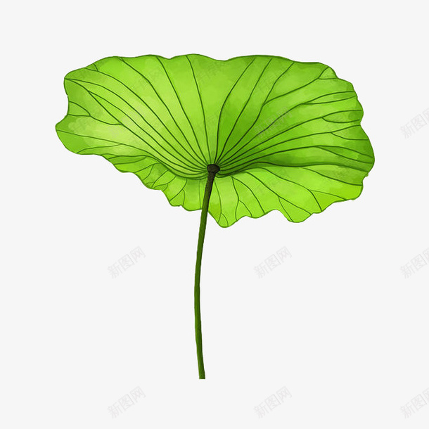 卡通手绘荷花荷叶素材psd免抠素材_88icon https://88icon.com 卡通 手绘 荷花 荷叶