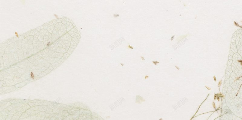 清新白色大理石质感古典花卉小花束psd设计背景_88icon https://88icon.com 大理石 古典 清新 白色 质感 花卉 花束 清新白色 古典质感