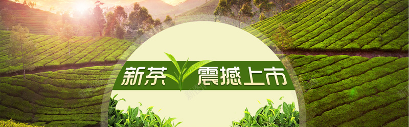 新茶上市banner素材背景