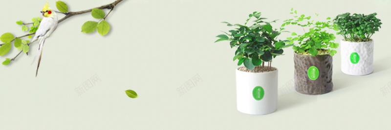 简洁创意盆栽植物海报jpg设计背景_88icon https://88icon.com d 海报 清新 组合 绿植 psd 简洁 创意