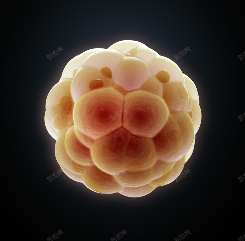 细胞细菌等生物高清图片jpg设计背景_88icon https://88icon.com 细菌 病菌 细胞忧伤