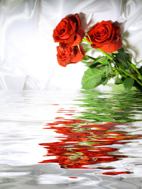 水面红玫瑰浪漫唯美海报背景背景