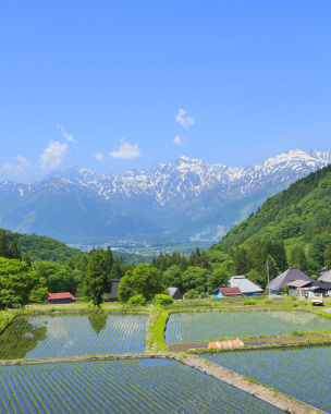 简约小清新麦田广告背景