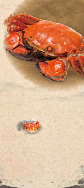螃蟹美食展架背景素材背景