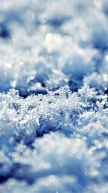 雪中风景手机H5背景背景