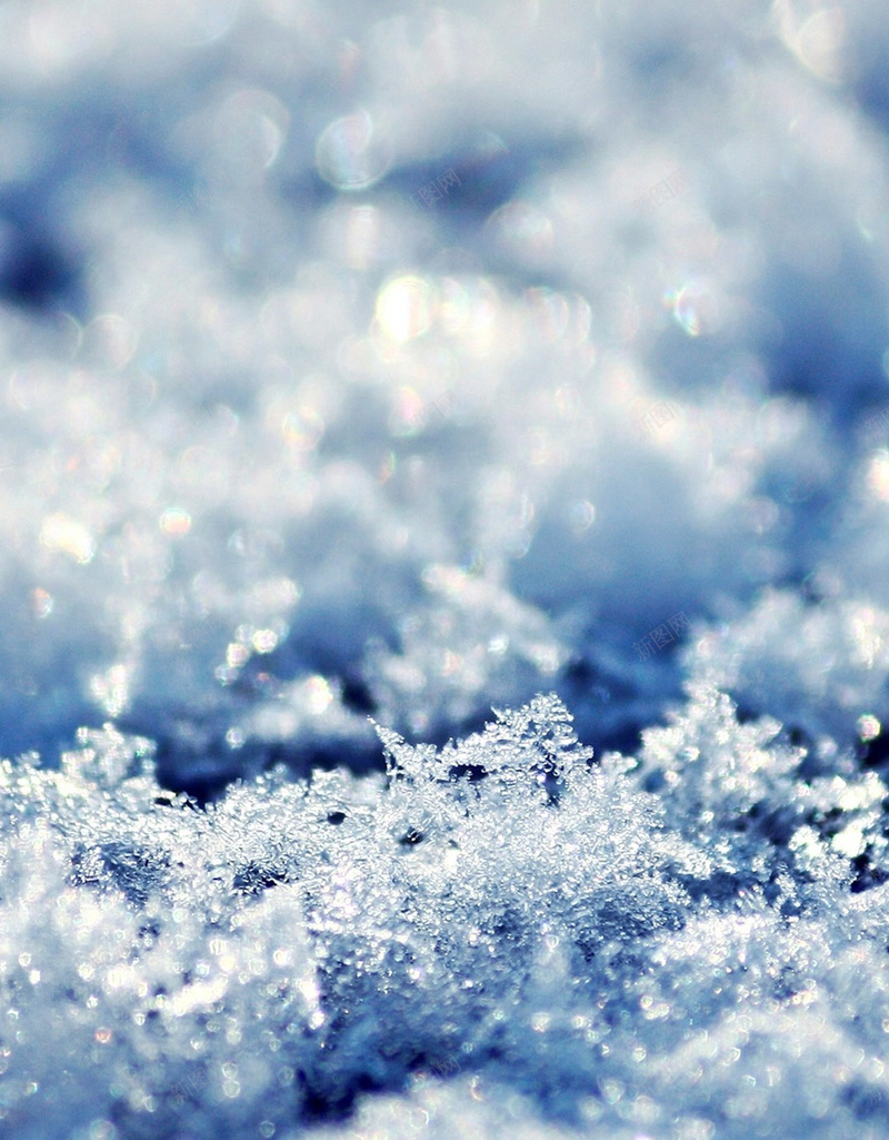 雪中风景手机H5背景jpg设计背景_88icon https://88icon.com 白色 雪花 冰晶 蓝色 摄影 H5 h5 风景