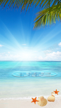 沙滩阳光椰子树浪漫H5背景背景