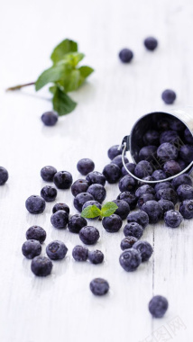 水果蓝莓H5背景素材背景