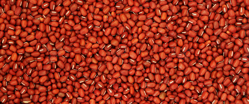 红豆背景背景
