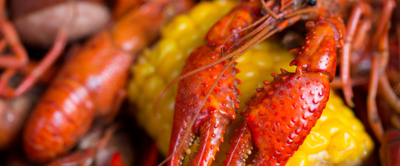 美味的大龙虾美食高清图片jpg设计背景_88icon https://88icon.com 海鲜食物 特色美食 红烧龙虾 诱人美食 食物原料 其他类别 餐饮美食 图片素材 海报banner